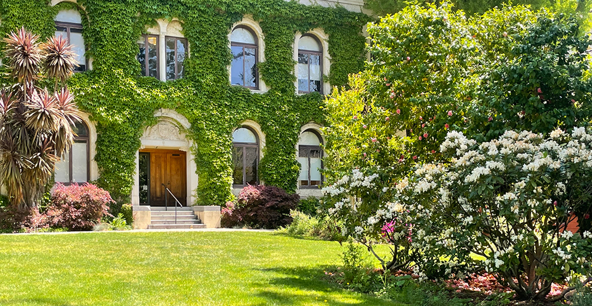 Outdoor view of Guzman Hall, covered with ivy on a sunny morning. 