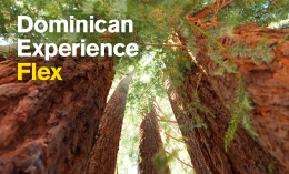 redwood trees image with text dominican experience flex 