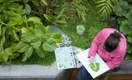 overhead view of a girl painting with water colors