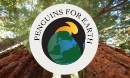 2021 Earth Day logo superimposed over redwood tree background for HP image