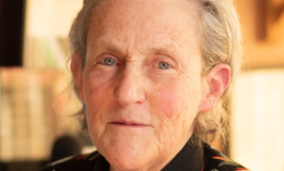 Temple Grandin head shot