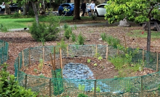 Photo of rock bed in new Pollinator Garden surrounded by green plastic fencing, small trees, scrubs and brown tree bark on Dominican campus with people walking on Acacia Street sidewalk in the background