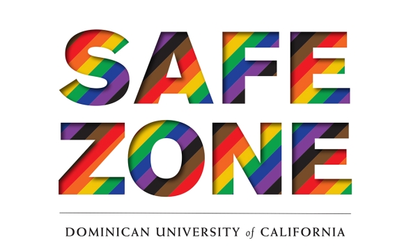 Colorful image of the words `Safe Zone' in big bold letters