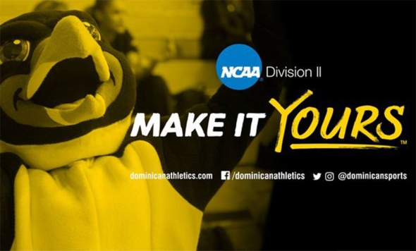Image of Chilly the Penguin mascot with graphic of NCAA Division II logo and "Make It Yours" 