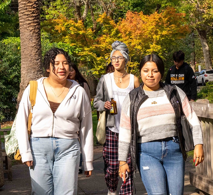 Three female undergraduate students walking on the Dominican campus.