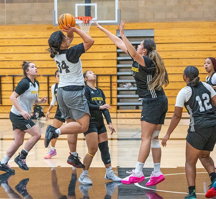 Dominican University of California Women's Basketball game