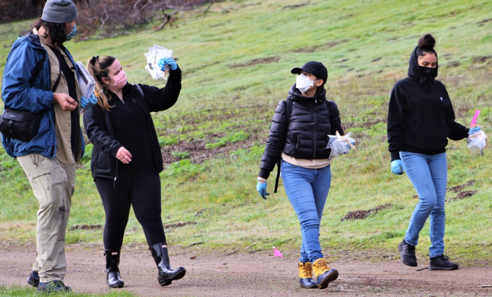 Photo of undergraduates walking with salamanders in plastic bags on path from research site in Point Reyes National Seashore