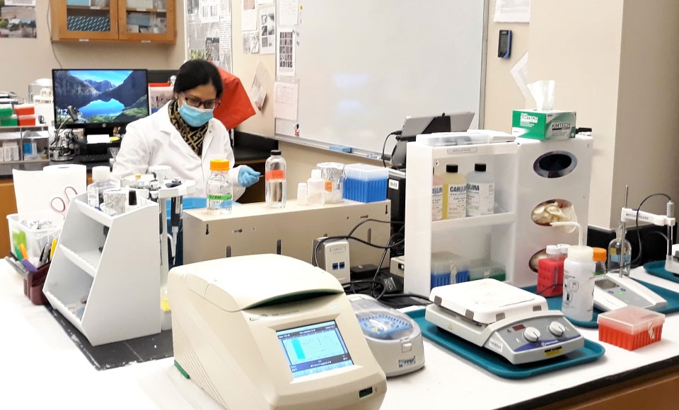 Photo of masked graduate student Bharati Gaonker in NORS-DUC laboratory on campus