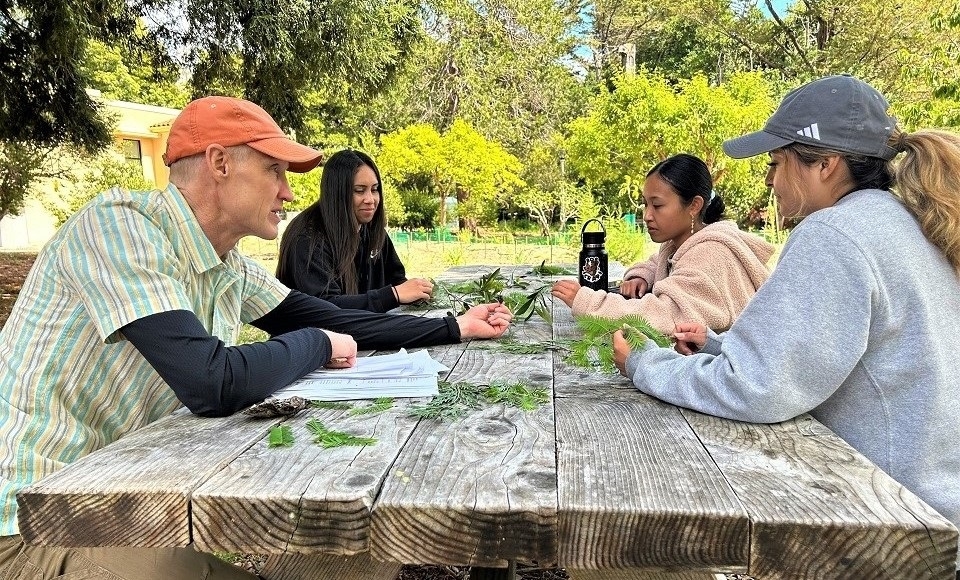 Photo of (left to right) Dr. Erik Nelson in orange cap with students Alyssa Rue, Melea Pedrosa, and Caitlyn Perales sitting around grayish picnic table inspecting green tree twigs and branches for insects