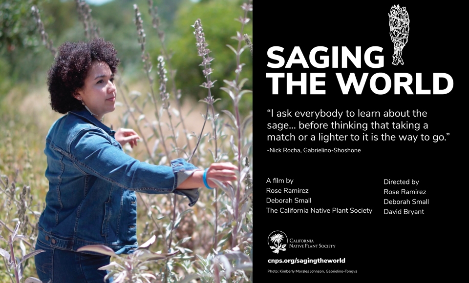 Woman standing in the middle of a field next to the film title Saging the World