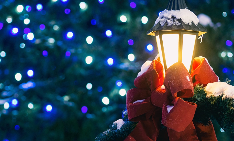 christmas lights and tree